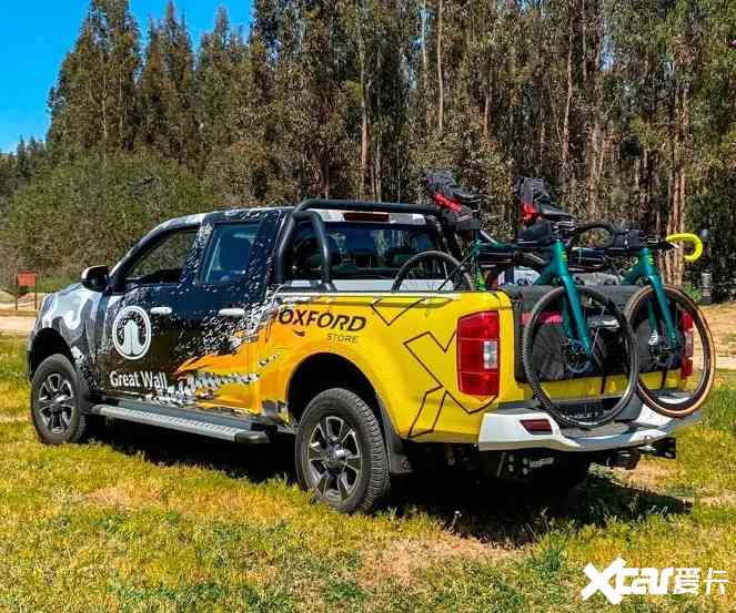 加速抢占国际市场  长城炮引领中国皮卡走向全球-图10