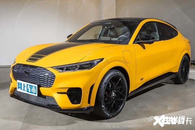 福特电马大批库存积压打6折卖内部员工 最高降14万-图7