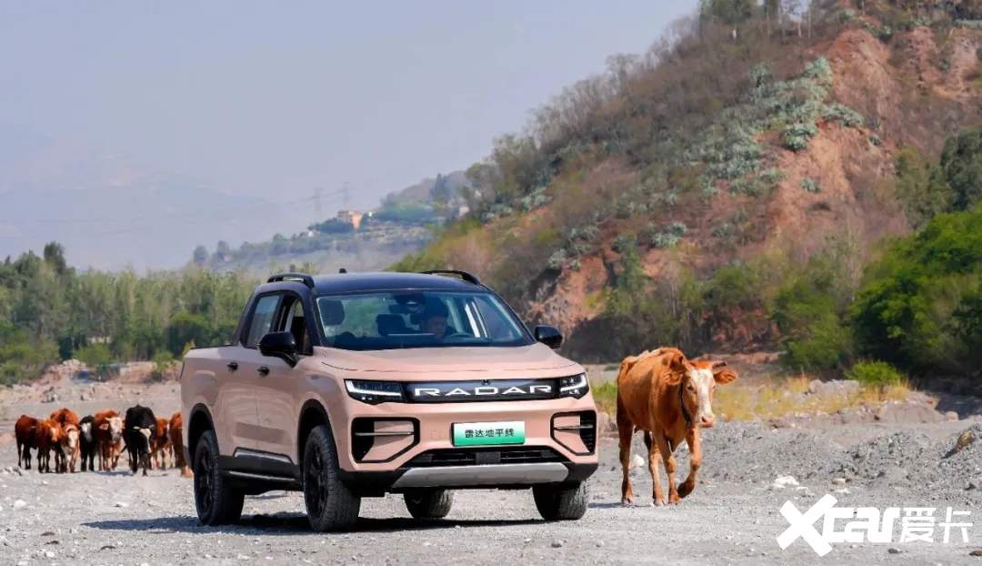 4月皮卡终端销量为25761辆新能源皮卡劲增390.53-图12