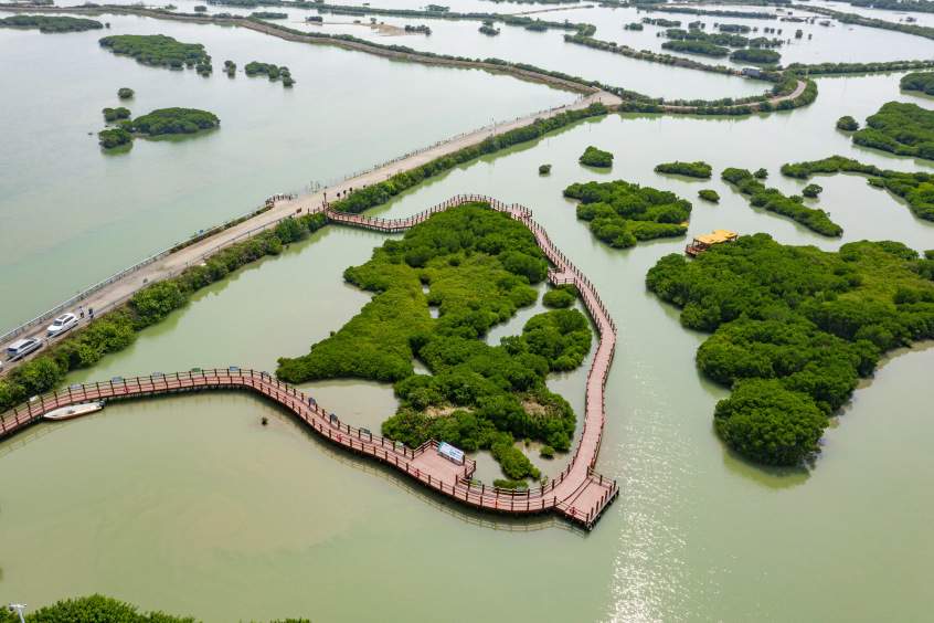 广汽本田红树林生态体验营