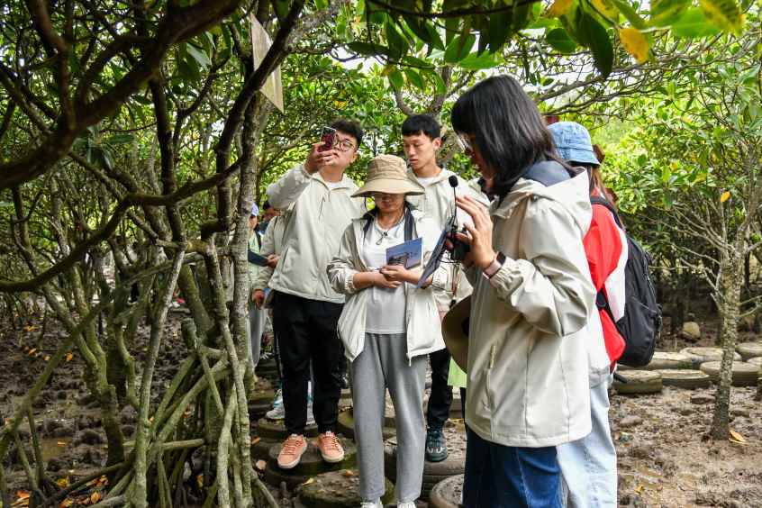 广汽本田红树林生态体验营