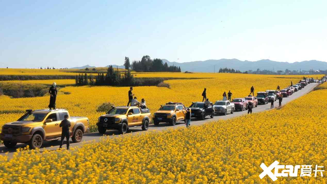 长城皮卡1-6月全球累计销售91916辆 国内市占率近50-图14