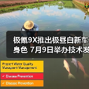 极氪9X推出极昼白新车身色 7月9日举办技术发布(图4) 极氪9X推出极昼白新车身色 7月9日举办技术发布(图4)