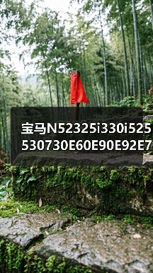 宝马N52325i330i525530730E60E90E92E70X3X53.0发动机（图4）