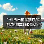 **供应出租车顶灯/车顶灯/出租车LED顶灯/汽车顶灯/出租车灯（图4）