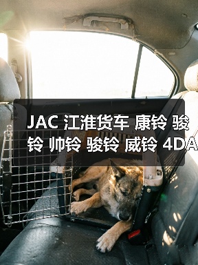 JAC 江淮货车 康铃 骏铃 帅铃 骏铃 威铃 4DA1 高压共轨 发动机（图3）