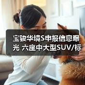 宝骏华境S申报信息曝光 六座中大型SUV/标配华为（图3）