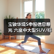 宝骏华境S申报信息曝光 六座中大型SUV/标配华为（图4）