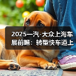 2025一汽-大众上海车展前瞻：转型快车道上的“德系答卷”