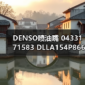DENSO喷油嘴 0433171583 DLLA154P866 P型柴油车配件油嘴（图2）