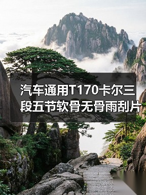 汽车通用T170卡尔三段五节软骨无骨雨刮片胶条雨刮器雨刷器CARALL（图3）