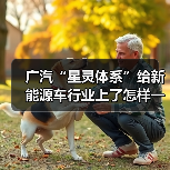 广汽“星灵体系”给新能源车行业上了怎样一课?(图4) 广汽“星灵体系”给新能源车行业上了怎样一课?(图4)