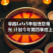 零跑Lafa5申报信息曝光 计划今年第四季度上市（图3）