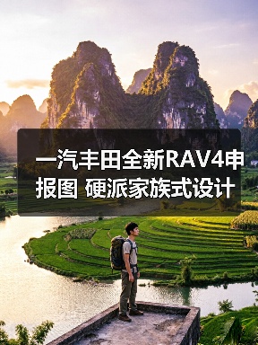 一汽丰田全新RAV4申报图 硬派家族式设计（图4）
