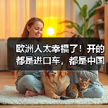 欧洲人太幸福了!开的都是进口车,都是中国制造!(图2) 欧洲人太幸福了!开的都是进口车,都是中国制造!(图2)