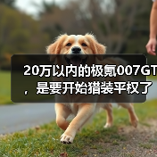 20万以内的极氪007GT,是要开始猎装平权了吗?(图2) 20万以内的极氪007GT,是要开始猎装平权了吗?(图2)