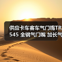 供应卡车客车气门嘴TR545 全钢气门嘴 加长气门嘴（图2）