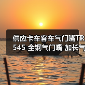 供应卡车客车气门嘴TR545 全钢气门嘴 加长气门嘴