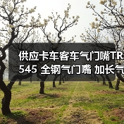 供应卡车客车气门嘴TR545 全钢气门嘴 加长气门嘴（图4）