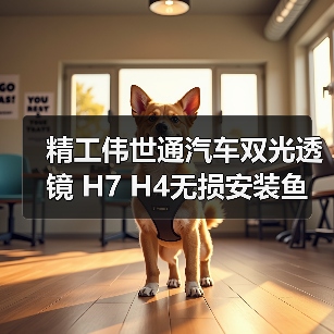 精工伟世通汽车双光透镜 H7 H4无损安装鱼眼透镜改氙气大灯远近光
