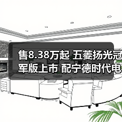 售8.38万起 五菱扬光冠军版上市 配宁德时代电池（图3）