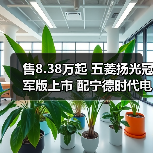 售8.38万起 五菱扬光冠军版上市 配宁德时代电池（图2）