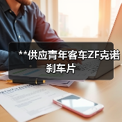 **供应青年客车ZF克诺刹车片（图3）