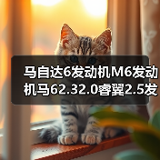 马自达6发动机M6发动机马62.32.0睿翼2.5发动机总成（图2）