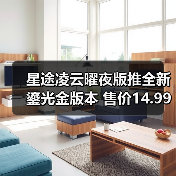 星途凌云曜夜版推全新鎏光金版本 售价14.99万起（图4）