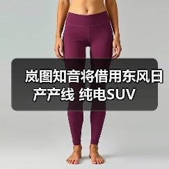 岚图知音将借用东风日产产线 纯电SUV（图4）
