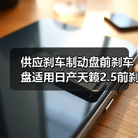 供应刹车制动盘前刹车盘适用日产天籁2.5前刹车碟40206-JA00A（图2）