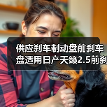 供应刹车制动盘前刹车盘适用日产天籁2.5前刹车碟40206-JA00A（图4）