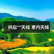 供应**天线 室内天线