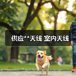 供应**天线 室内天线（图4）
