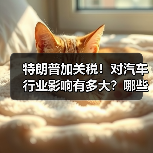特朗普加关税！对汽车行业影响有多大？哪些车企最难？