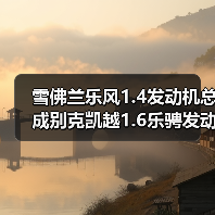 雪佛兰乐风1.4发动机总成别克凯越1.6乐骋发动机变速箱自动波总成（图3）