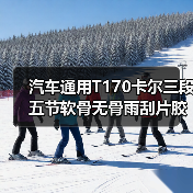汽车通用T170卡尔三段五节软骨无骨雨刮片胶条雨刮器雨刷器CARALL