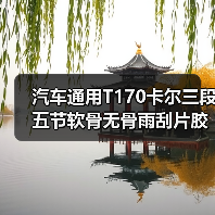 汽车通用T170卡尔三段五节软骨无骨雨刮片胶条雨刮器雨刷器CARALL（图2）