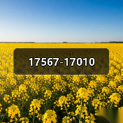 17567-17010（图3）