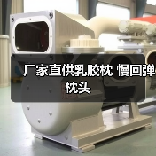 厂家直供乳胶枕 慢回弹枕头（图4）
