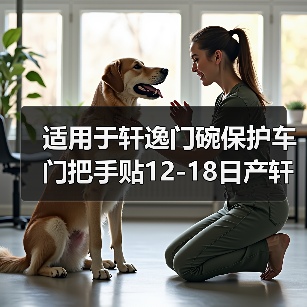 适用于轩逸门碗保护车门把手贴12-18日产轩逸外门碗拉手装饰改装（图3）