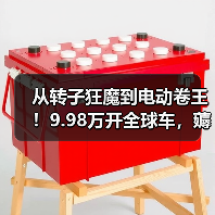 从转子狂魔到电动卷王！9.98万开全球车，薅合资羊毛（图1）