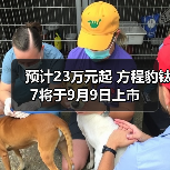 预计23万元起 方程豹钛7将于9月9日上市（图2）