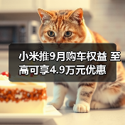 小米推9月购车权益 至高可享4.9万元优惠（图1）