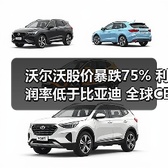 沃尔沃股价暴跌75% 利润率低于比亚迪 全球CEO被免职(图2) 沃尔沃股价暴跌75% 利润率低于比亚迪 全球CEO被免职(图2)