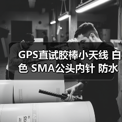 GPS直试胶棒小天线 白色 SMA公头内针 防水型 长10.2CM导航定位AP（图1）
