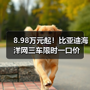 8.98万元起!比亚迪海洋网三车限时一口价(图2) 8.98万元起!比亚迪海洋网三车限时一口价(图2)