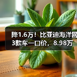 降1.6万！比亚迪海洋网3款车一口价，8.98万起售（图2）