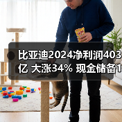 比亚迪2024净利润403亿 大涨34% 现金储备1549亿(图3) 比亚迪2024净利润403亿 大涨34% 现金储备1549亿(图3)