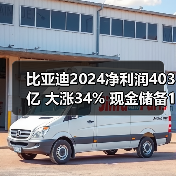 比亚迪2024净利润403亿 大涨34% 现金储备1549亿(图4) 比亚迪2024净利润403亿 大涨34% 现金储备1549亿(图4)